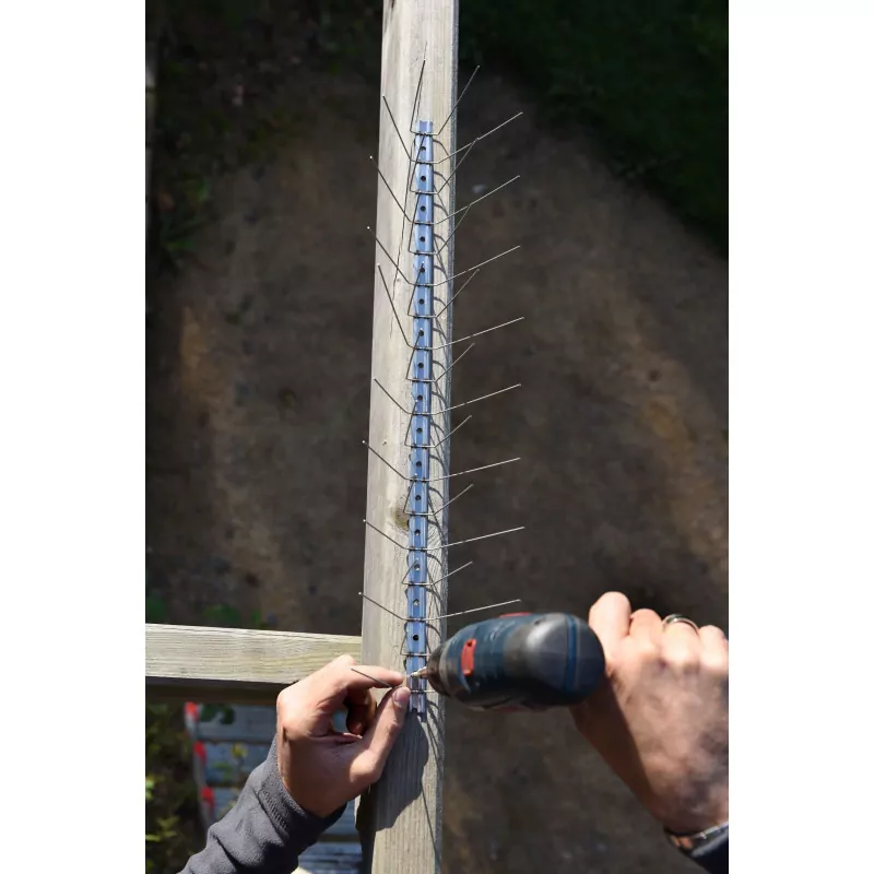 Pose pics anti volatiles Oisipic 120 5ML