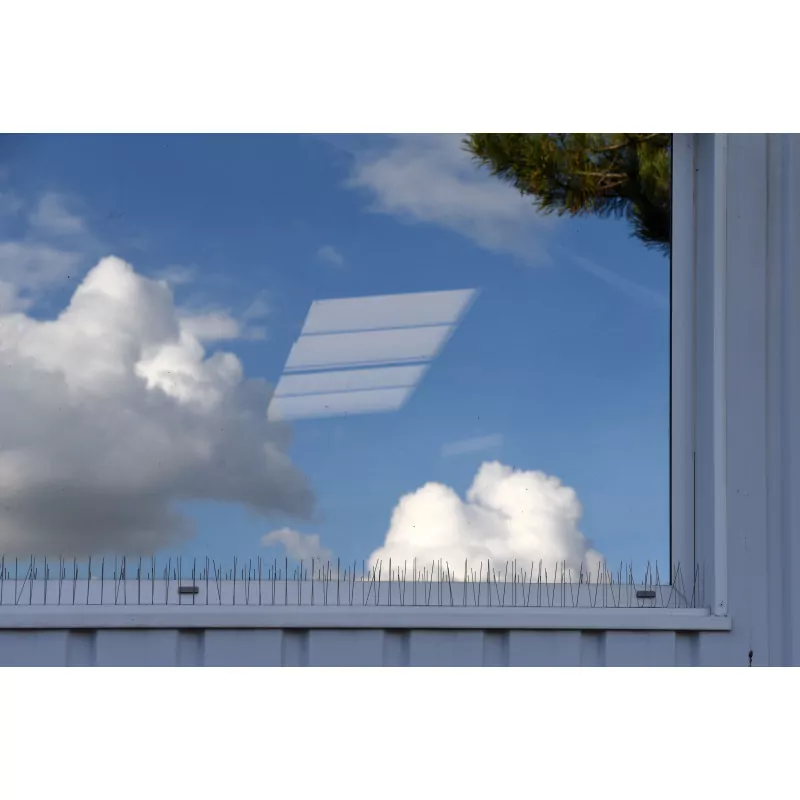 Pics Anti-Volatiles Oisipic pour rebord de fenêtre