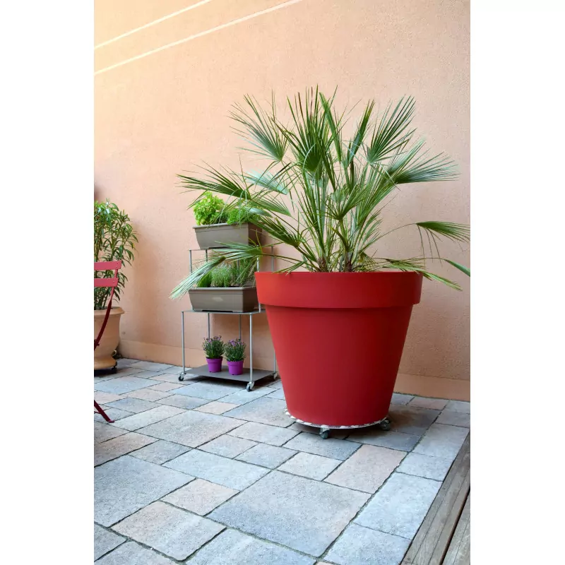 Roule Plante Alu Rond XXL - Louis Moulin