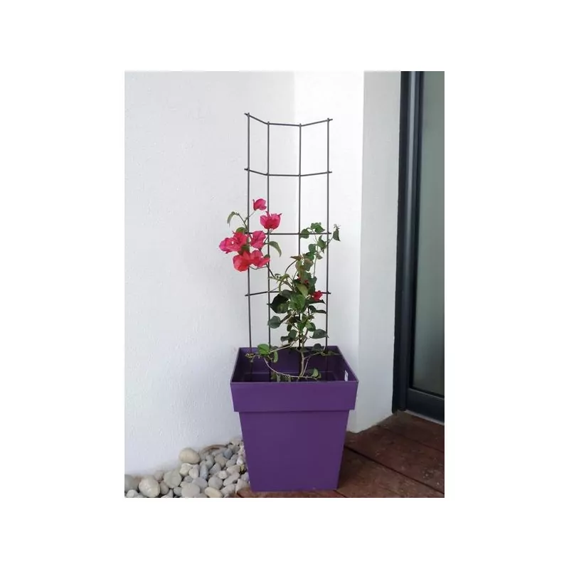 Treillage à piquer Trapèze Citadin Louis Moulin