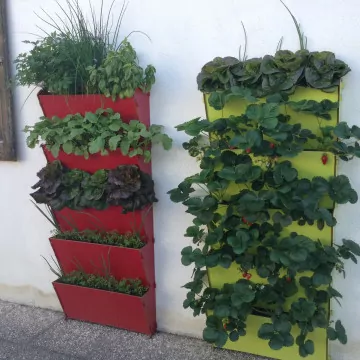 Jardinière murale à cinq étages - Home Jardin Solutions