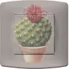 Prise et interrupteurs décorés imprimés cactus