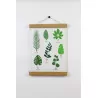 Porte affiche en bois - Reine Mère Porte affiche en bois - Reine Mère