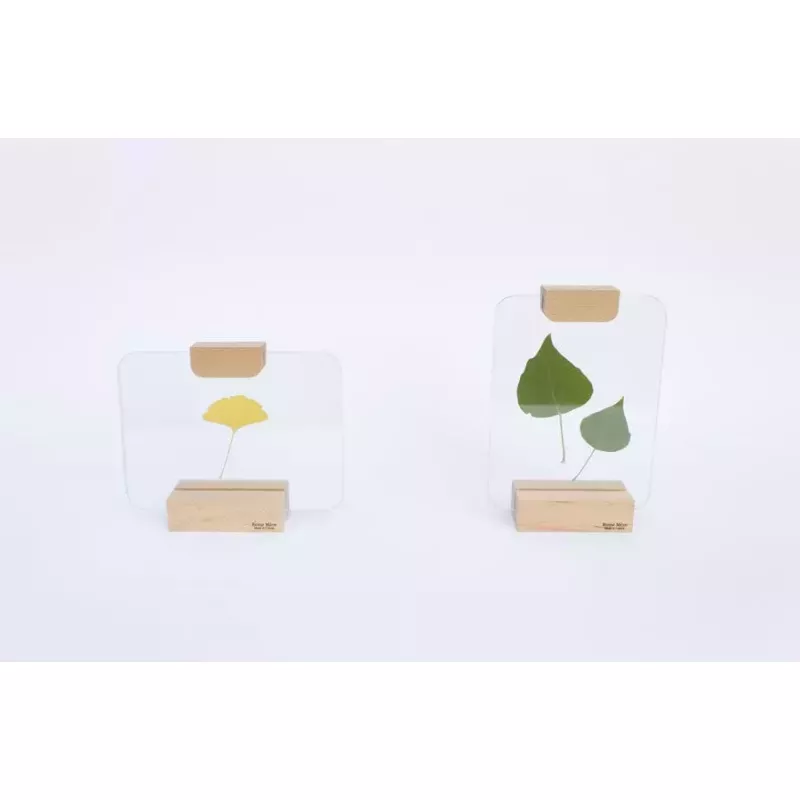 Porte photo en verre - Reine Mère