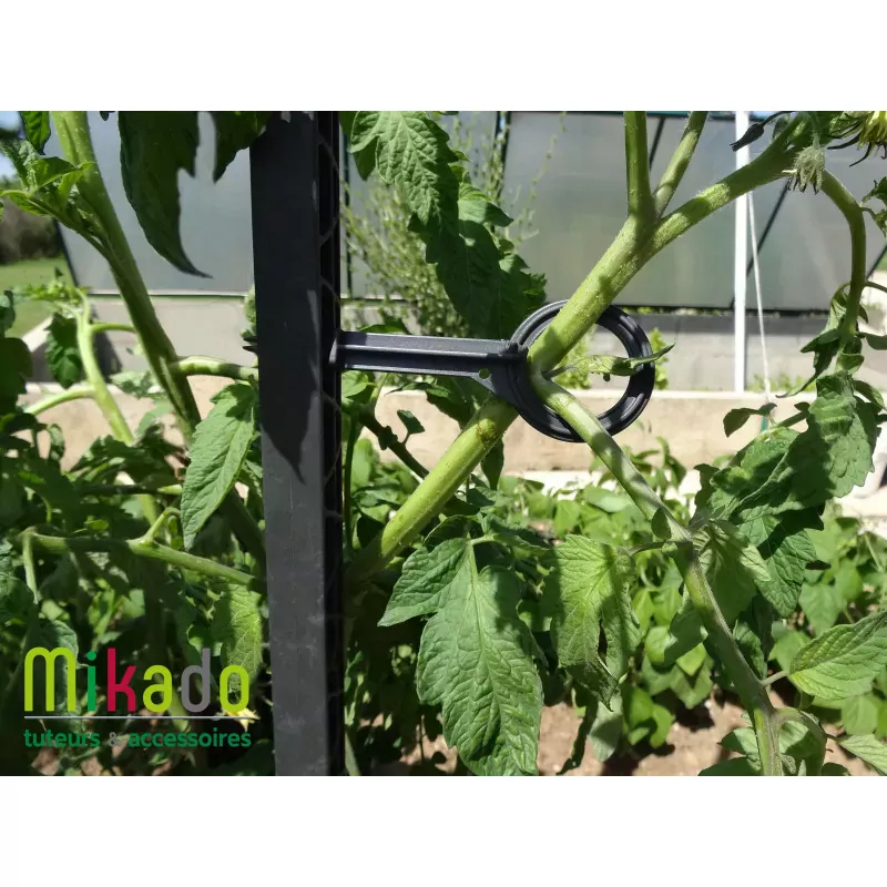 Kit tuteurs pour plantes grimpantes - MV Industrie