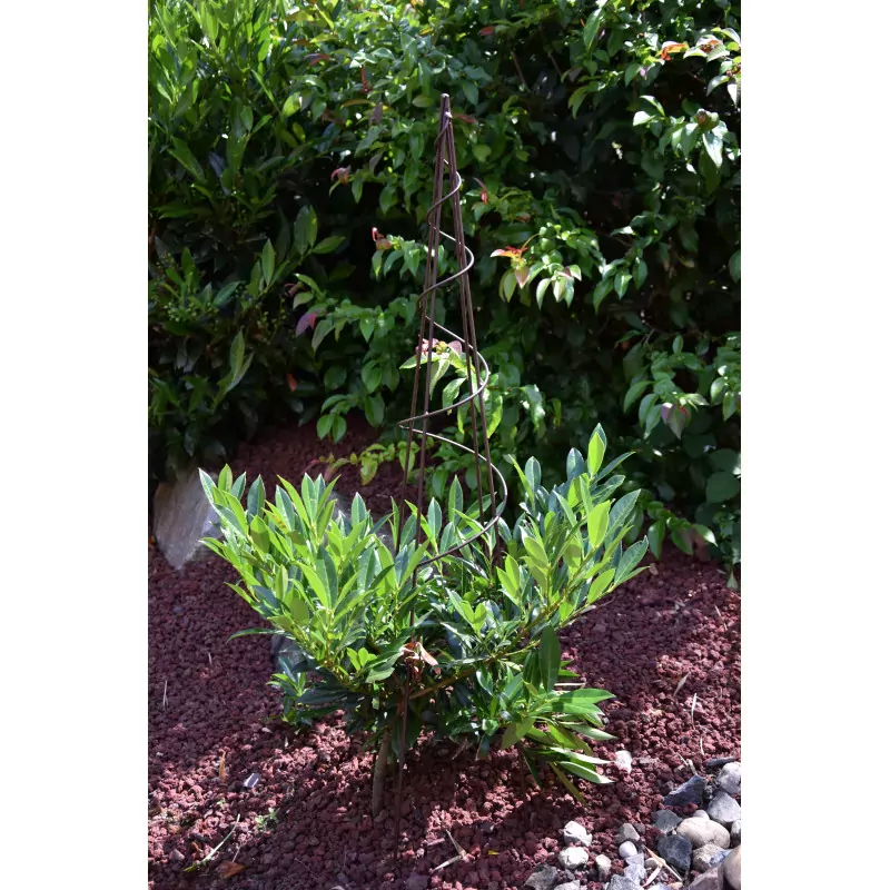 Mini Grimpante Spirale - Fer Vieilli - Louis Moulin