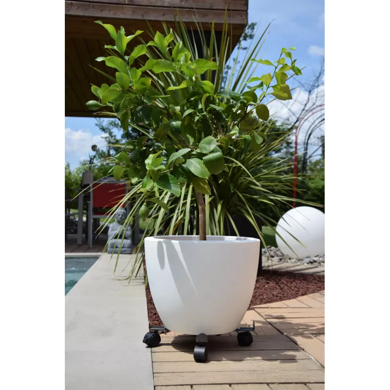 Roule Plante Extensible gris Martelé Louis Moulin