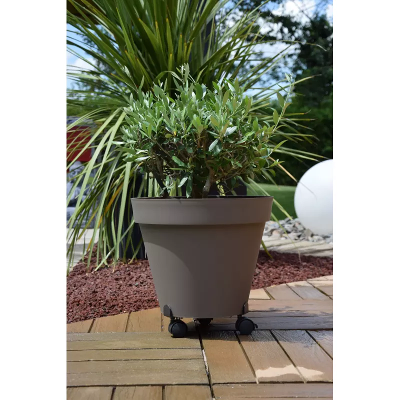 Roule Plante EXTENSIBLE Gris Martelé Louis Moulin