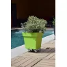 Roule Plante ALU Petit Carré Louis Moulin Roule Plante ALU Petit Carré Louis Moulin