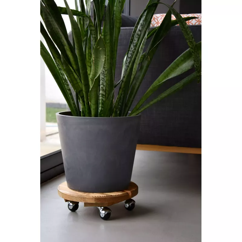 Roule plantes en bois rond 30 cm - Louis Moulin