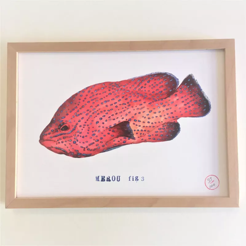 Affiche Aquarelle Merou - B&C