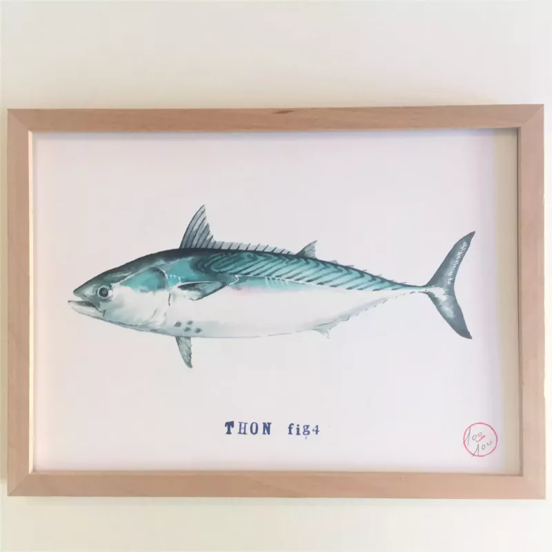 Affiche Aquarelle Thon - B&C