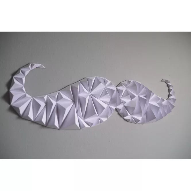 Kit moustache en papier 3D à fabriquer - Owarld