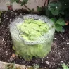 Serre de jardin en tube - Home Jardin Solutions