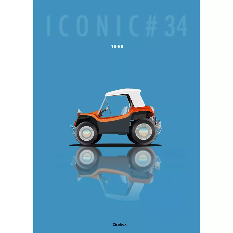 Affiche de la Meyers Manx - Cirebox