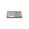 Coffrets couteau de table inox Le Flanker - Ovalie