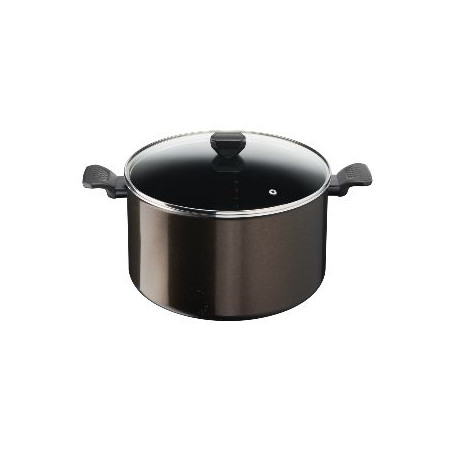 https://uncoqdansletransat.fr/29176-medium_default/marmite-30-cm-12l-avec-couvercle-easy-cook-clean-tefal.jpg