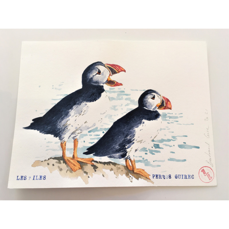 Affiche les 7 îles Perros-Guirec - B&C