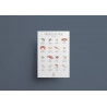Affiche des fruits de mer et coquillages - AOC Affiche des fruits de mer et coquillages - AOC