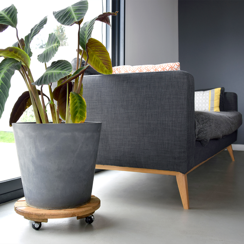 Roule plante en bois rond 37 cm - Louis Moulin