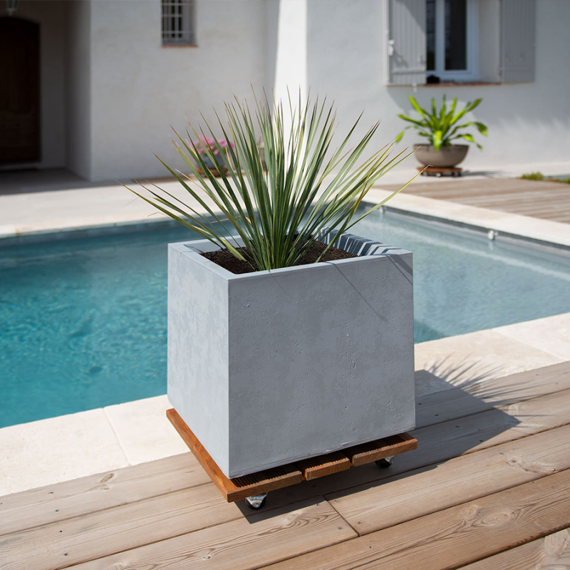 Roule plante en bois carré - Louis Moulin
