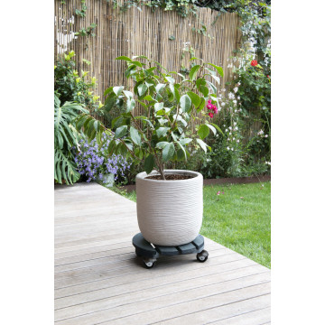 Roule plante en bois rond 30 cm Basics - Louis Moulin