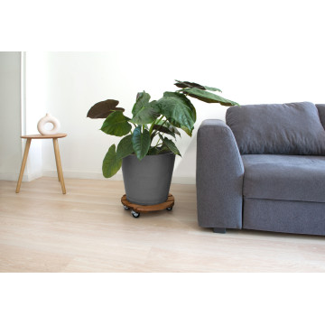 Roule plante en bois rond 37,5 cm Basics - Louis Moulin