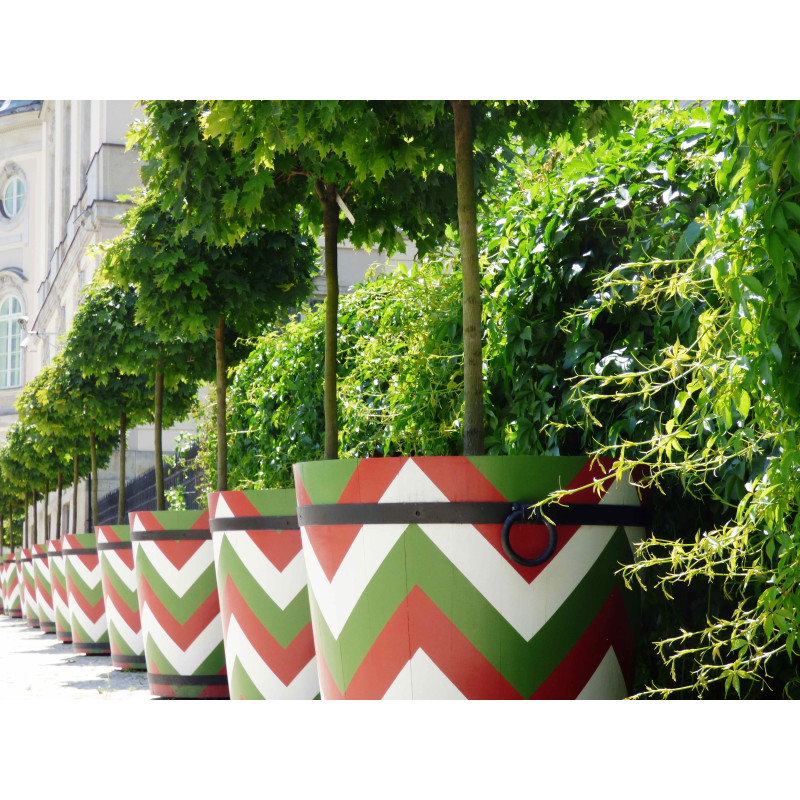 Terreau pour plantes en bac - Racine