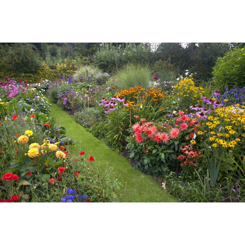Terreau avec compost pour fleurs - Racine