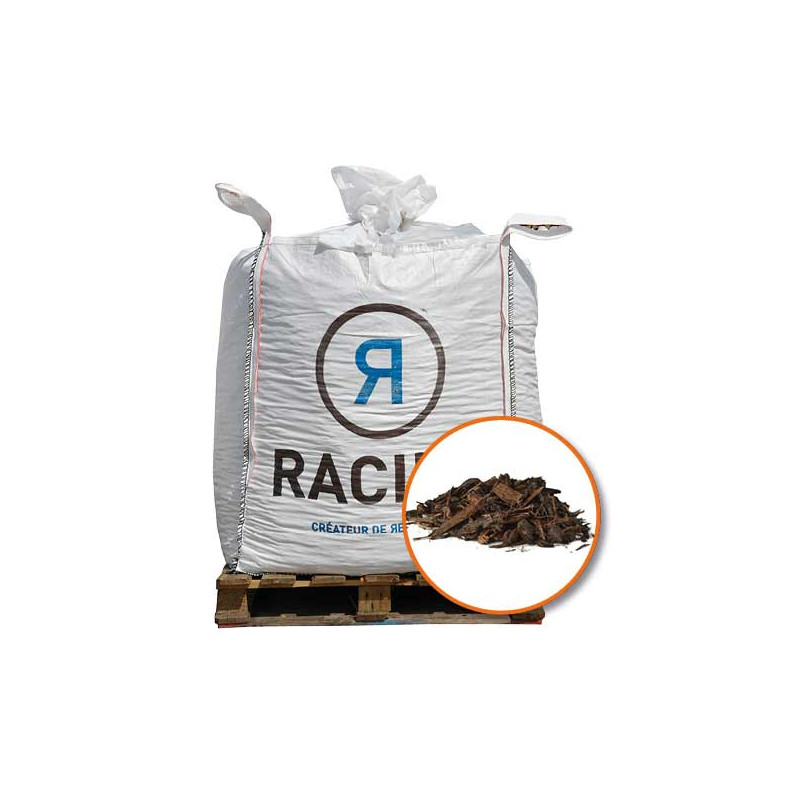 Paillage pin maritime - Racine