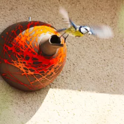 Nichoir pour mésanges -...