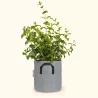 Pot pour plantes d'intérieur Ø20 cm - Bourgeon