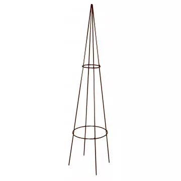 Mini grimpante Classique Louis Moulin