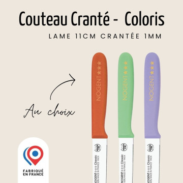 Couteau d'office Tomates 9cm crantée 1mm Polypro - Nogent 3 Étoiles