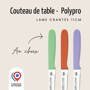 Couteau de table double crantage 11cm Polypro - Nogent 3 Étoiles