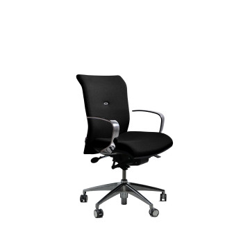 Fauteuil ergonomique haut de gamme STRONG AUGUSTE petit dossier - Navailles