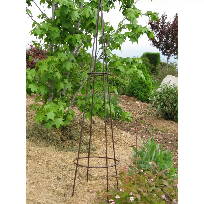 Mini Grimpante Classique - Fer Vieilli - Louis Moulin