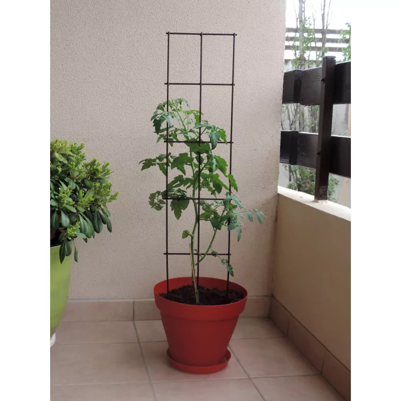 Treillage à piquer petit modèle Citadin Louis Moulin