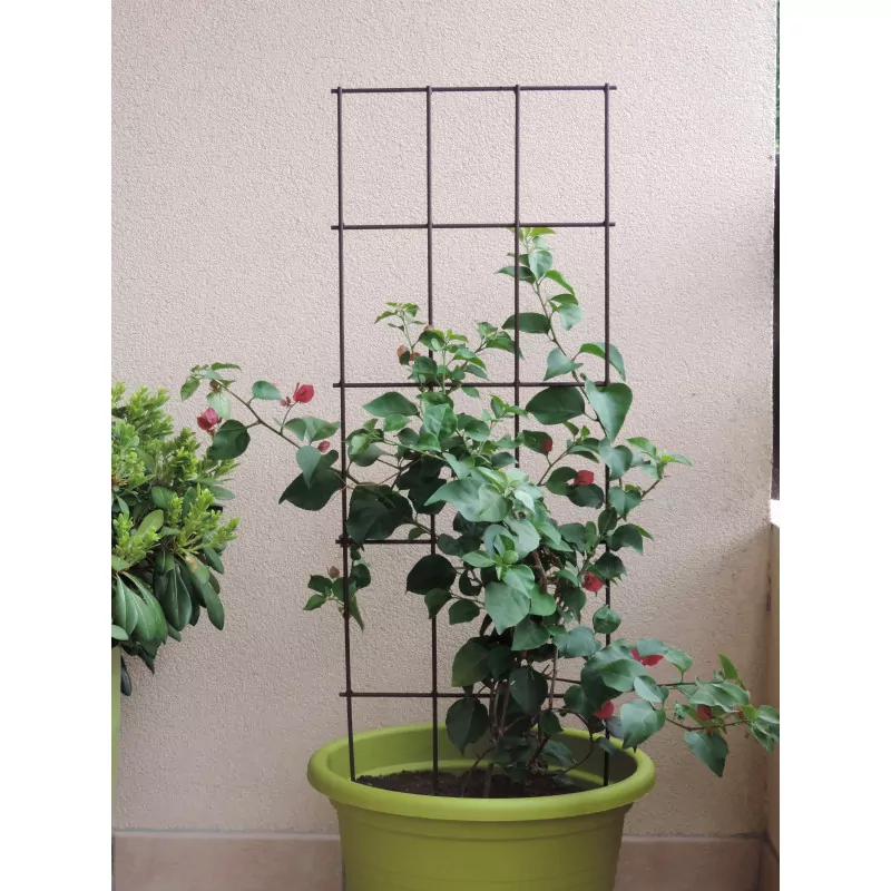 Treillage à piquer Grand Modèle Citadin Louis Moulin