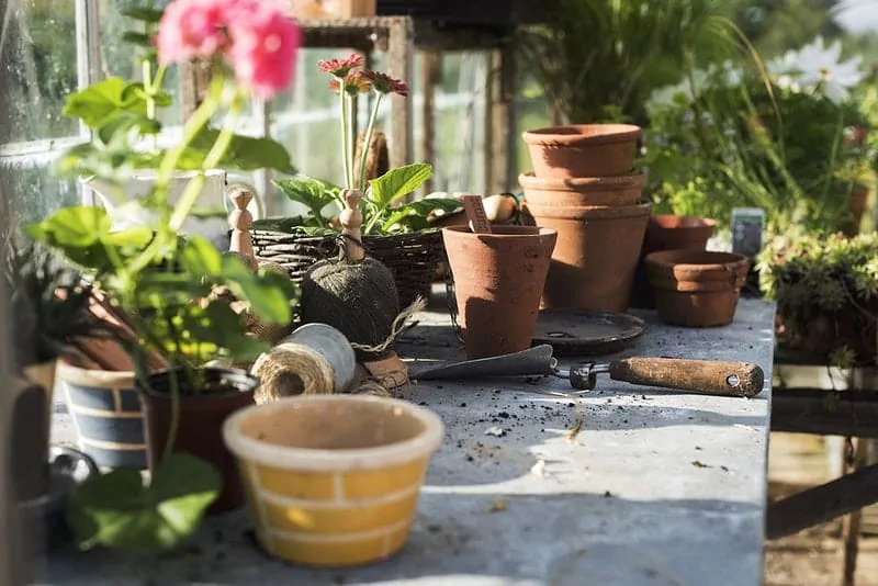 Donnez vie à votre jardin avec la bâche de décoration extérieure